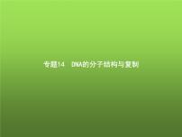 高中生物学考复习专题第六单元遗传的分子基础14DNA的分子结构与复制课件