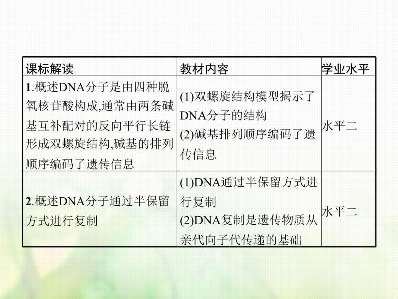 高中生物学考复习专题第六单元遗传的分子基础14DNA的分子结构与复制课件02