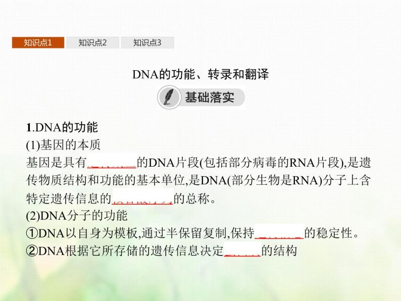 高中生物学考复习专题第六单元遗传的分子基础15基因控制蛋白质合成与表观遗传课件03