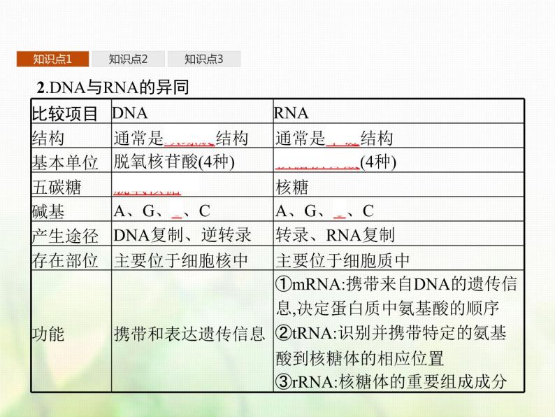 高中生物学考复习专题第六单元遗传的分子基础15基因控制蛋白质合成与表观遗传课件04