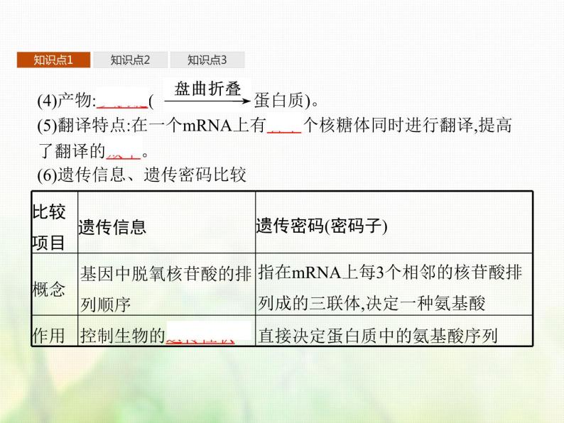 高中生物学考复习专题第六单元遗传的分子基础15基因控制蛋白质合成与表观遗传课件07