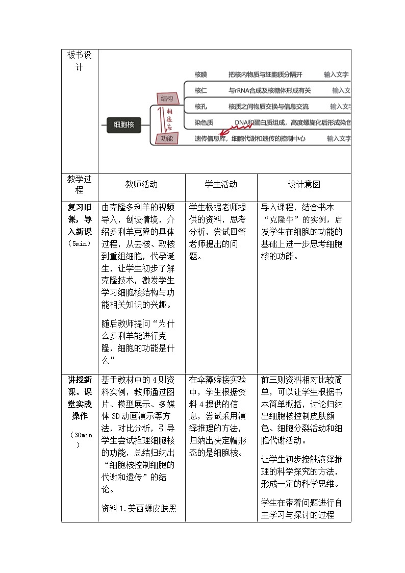 高中生物人教版2019 必修1 3.3细胞核的结构与功能 教案(表格式)第3页