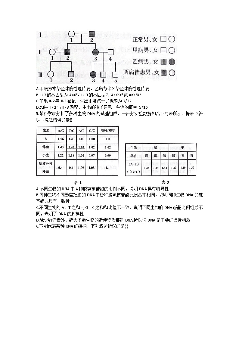 湖南省长沙市雅礼中学2022-2023学年高一生物下学期期末考试试题(Word版附答案)02