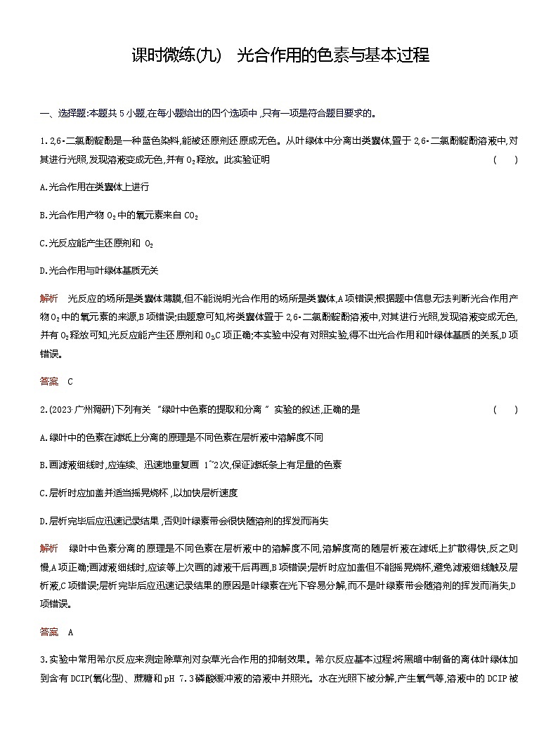 2024届人教版高考生物一轮复习光合作用的色素与基本过程作业(不定项)含答案第1页