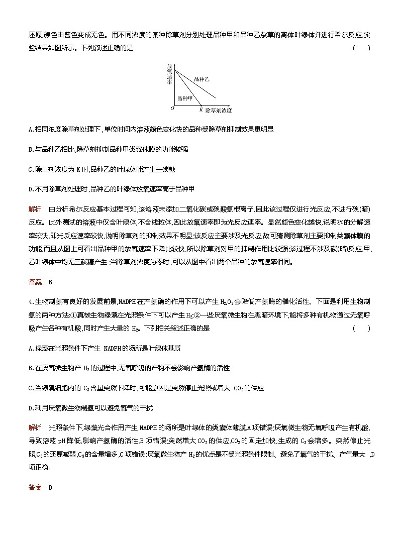 2024届人教版高考生物一轮复习光合作用的色素与基本过程作业(不定项)含答案第2页
