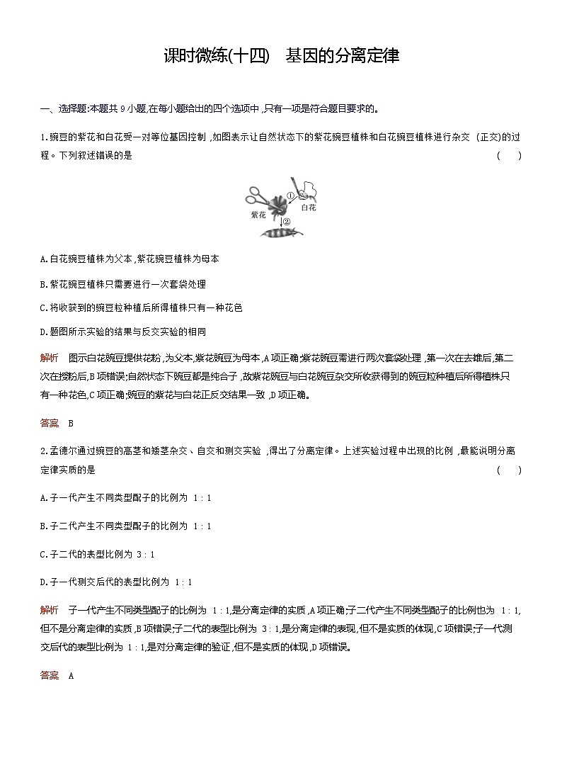 2024届人教版高考生物一轮复习基因的分离定律作业(不定项)含答案01