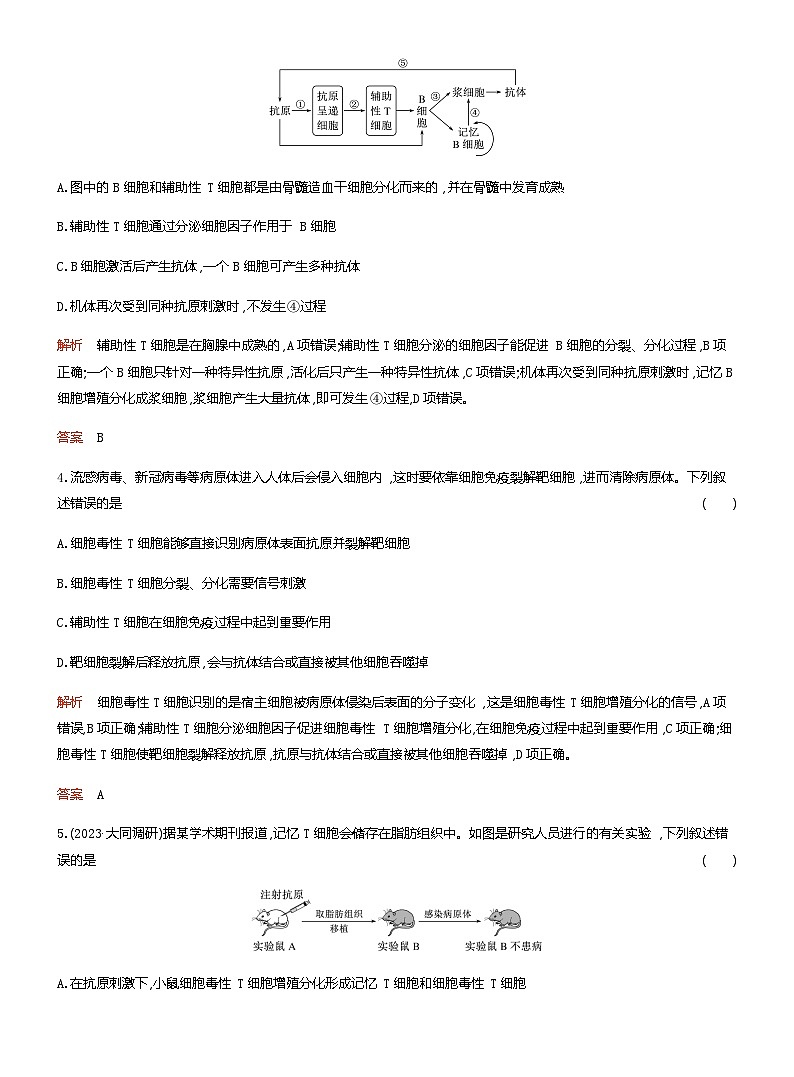2024届人教版高考生物一轮复习免疫调节作业(不定项)含答案第2页