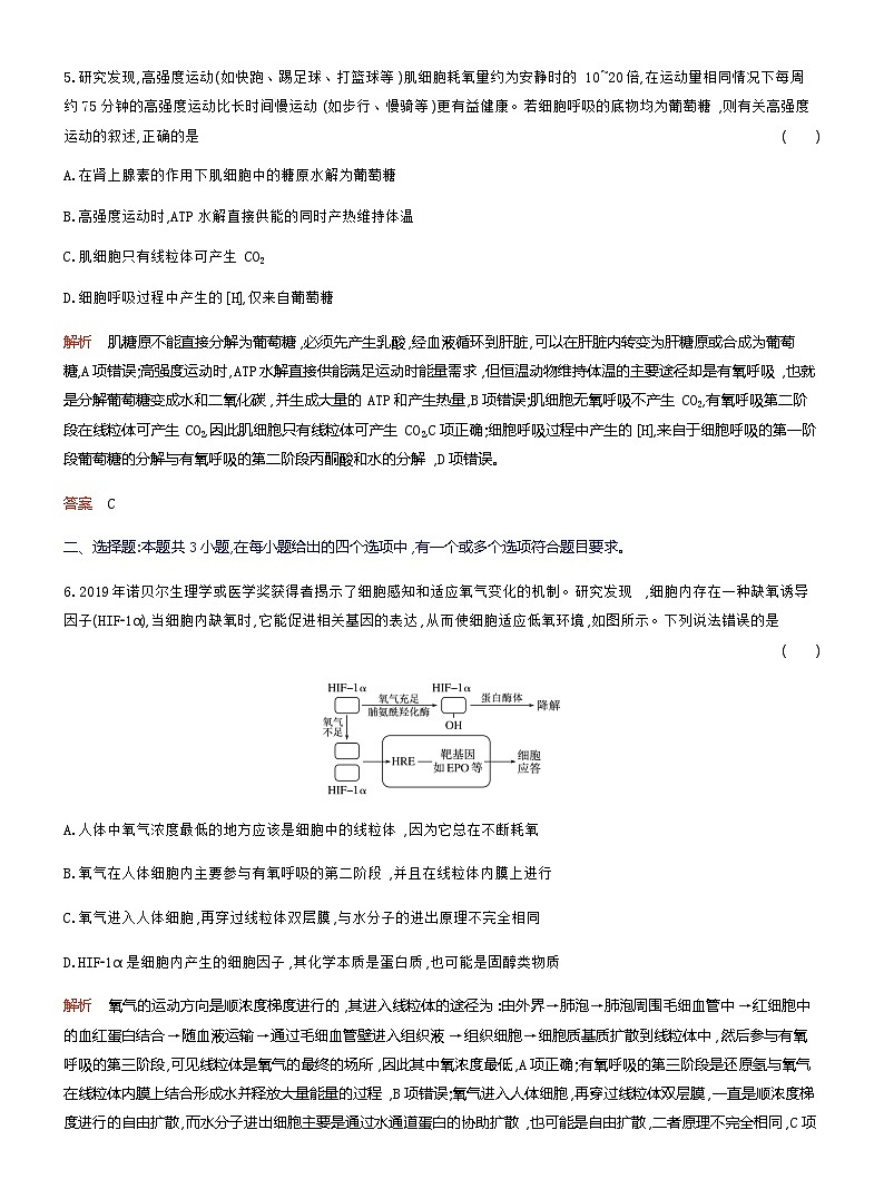 2024届人教版高考生物一轮复习细胞呼吸的原理和应用作业(不定项)含答案第3页
