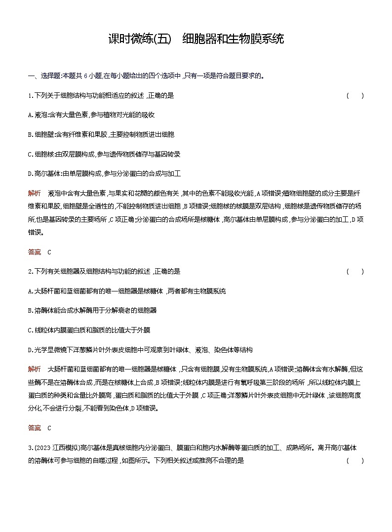 2024届人教版高考生物一轮复习细胞器和生物膜系统作业(不定项)含答案第1页
