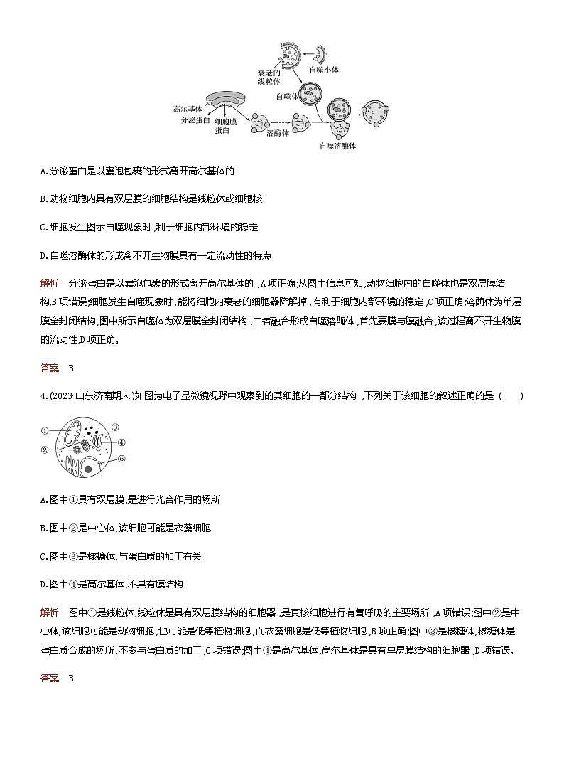 2024届人教版高考生物一轮复习细胞器和生物膜系统作业(不定项)含答案第2页