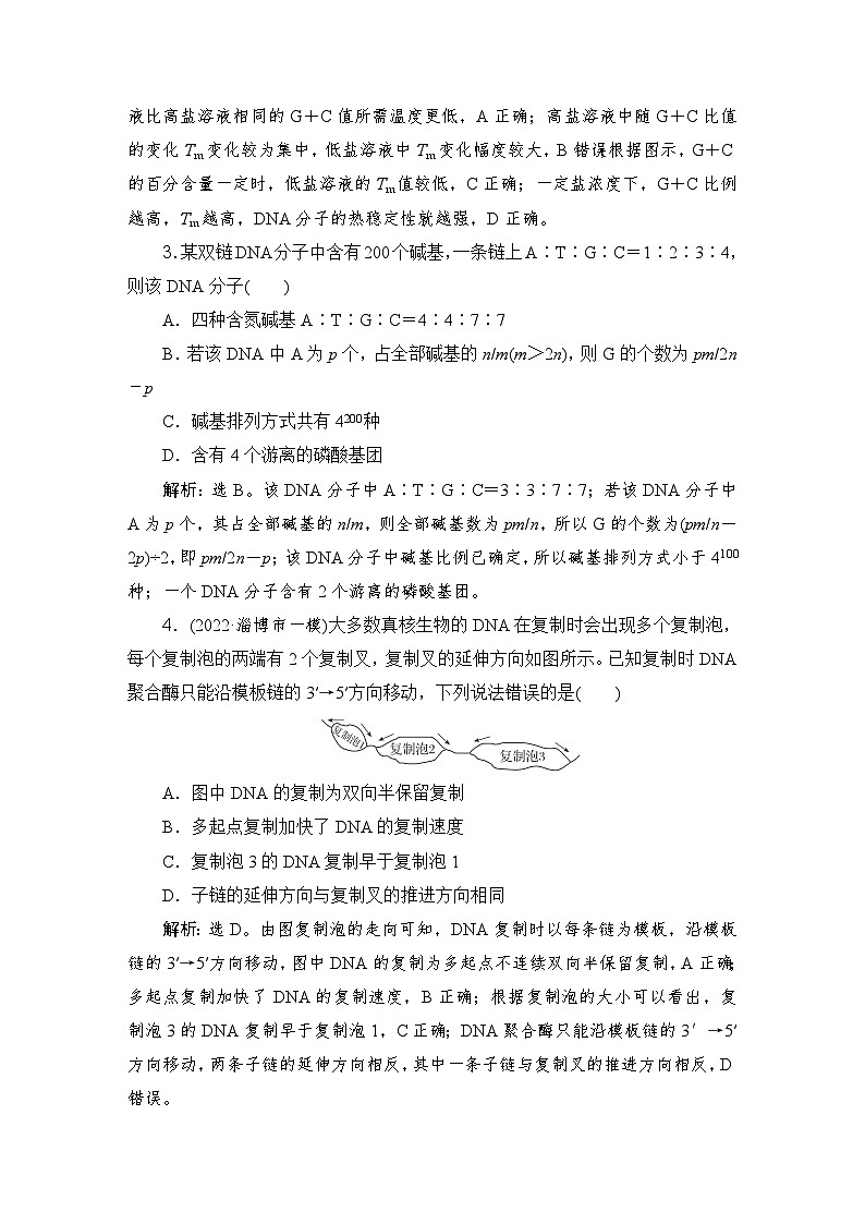 2024届人教版高考生物一轮复习DNA的结构、复制及基因的本质作业(多项版)含答案第2页