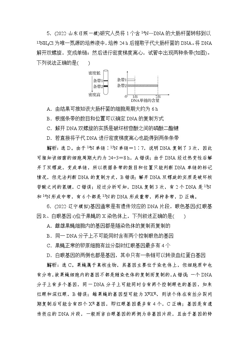 2024届人教版高考生物一轮复习DNA的结构、复制及基因的本质作业(多项版)含答案第3页