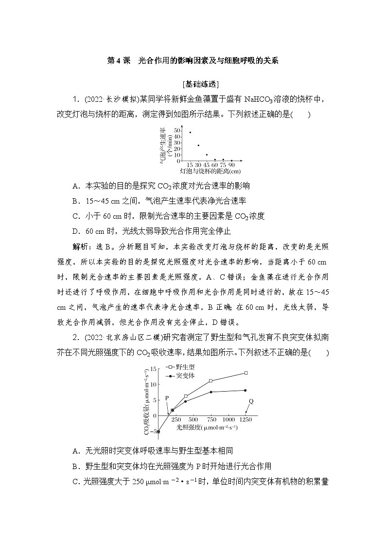2024屆人教版高考生物一輪復(fù)習(xí)光合作用的影響因素及與細(xì)胞呼吸的關(guān)系作業(yè)（多項(xiàng)版）含答案第1頁