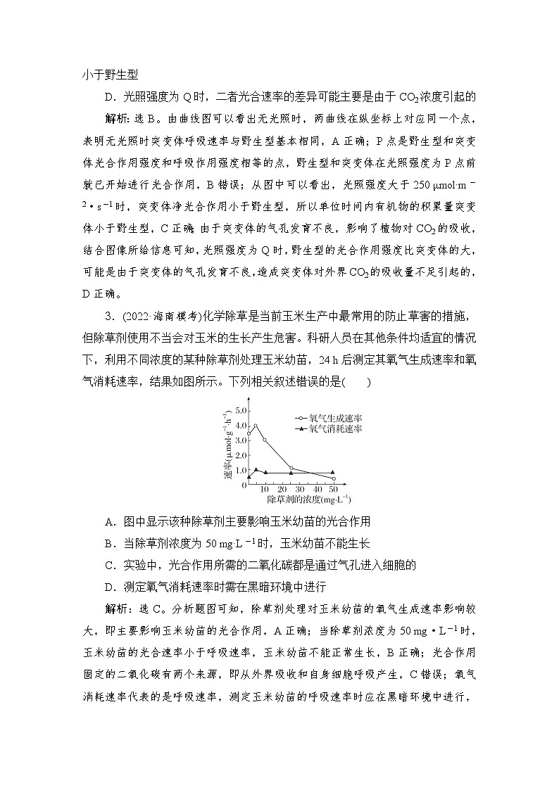 2024屆人教版高考生物一輪復(fù)習(xí)光合作用的影響因素及與細(xì)胞呼吸的關(guān)系作業(yè)（多項(xiàng)版）含答案第2頁