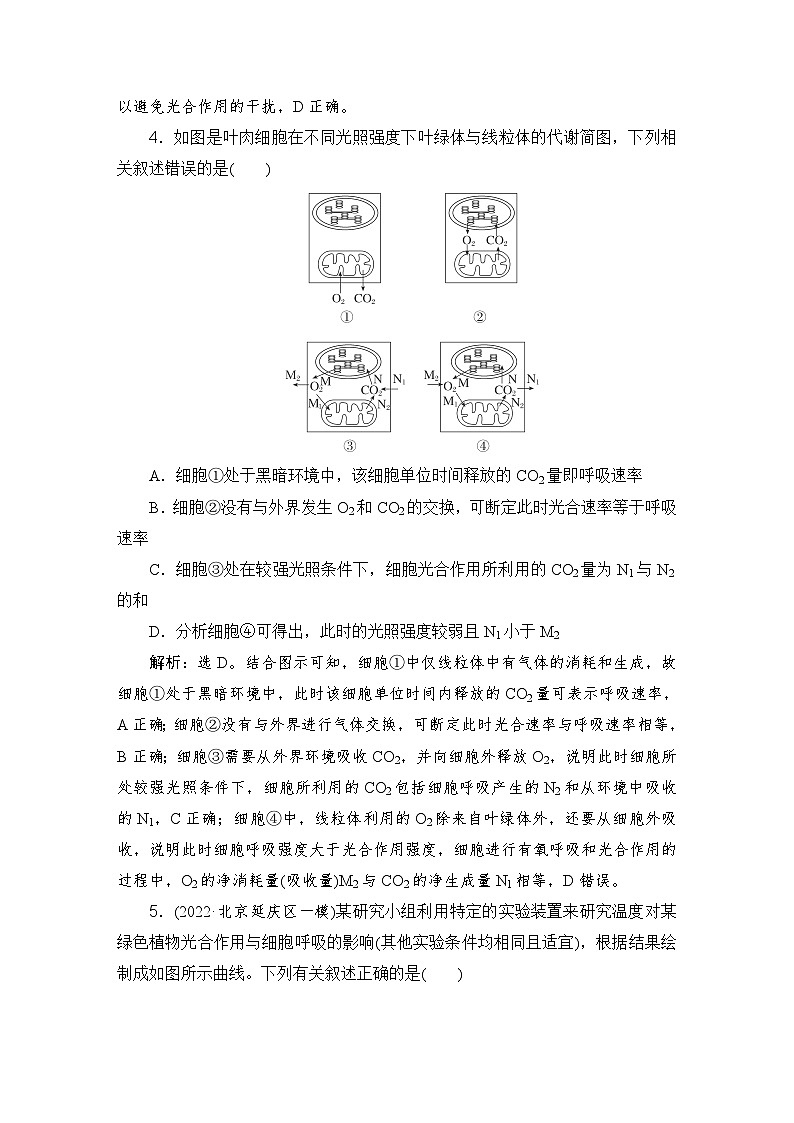 2024屆人教版高考生物一輪復(fù)習(xí)光合作用的影響因素及與細(xì)胞呼吸的關(guān)系作業(yè)（多項(xiàng)版）含答案第3頁