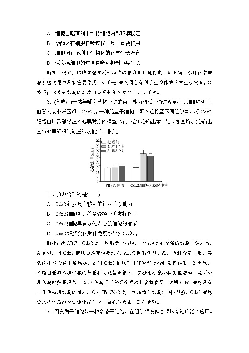 2024届人教版高考生物一轮复习细胞的分化、衰老和死亡作业(多项版)含答案第3页