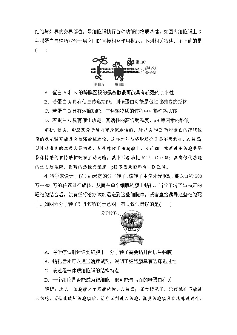2024届人教版高考生物一轮复习细胞膜与细胞核作业(多项版)含答案第2页