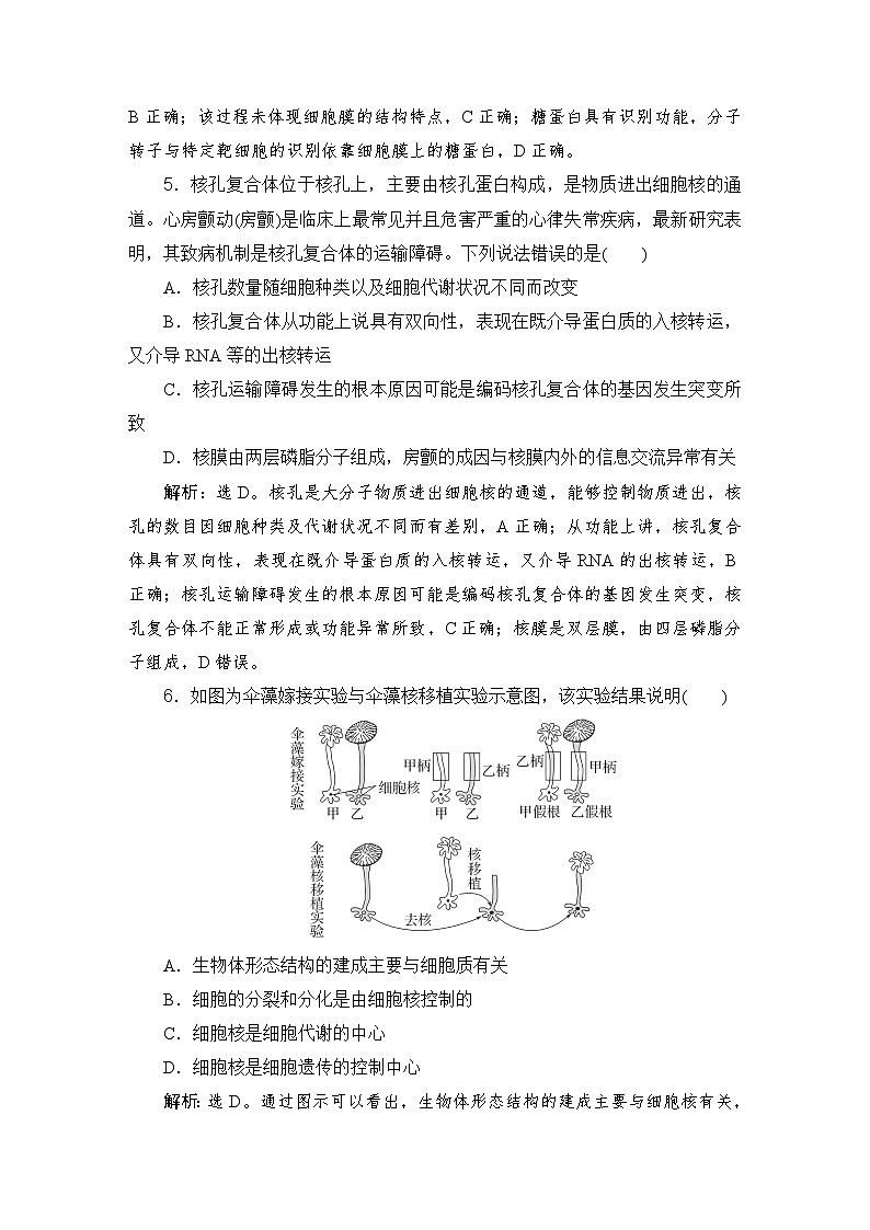2024届人教版高考生物一轮复习细胞膜与细胞核作业(多项版)含答案第3页