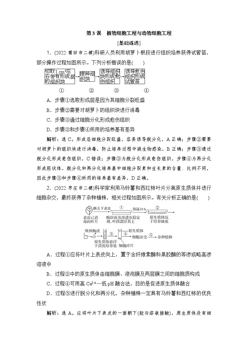2024届人教版高考生物一轮复习植物细胞工程与动物细胞工程作业(多项版)含答案第1页