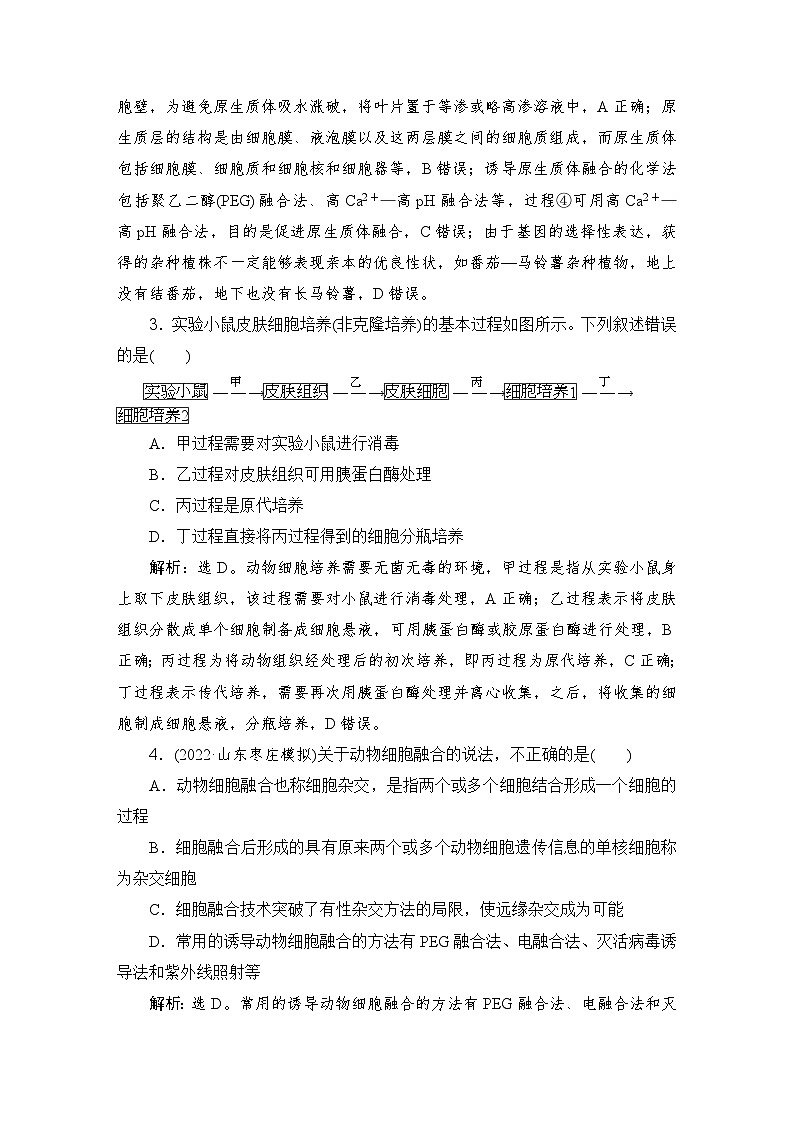 2024届人教版高考生物一轮复习植物细胞工程与动物细胞工程作业(多项版)含答案第2页