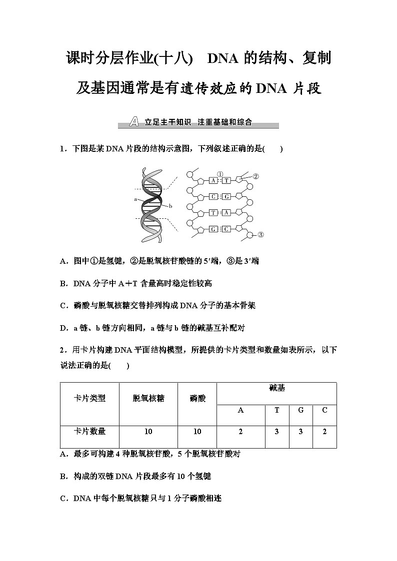 2024届人教版高考生物一轮复习DNA的结构、复制及基因通常是有遗传效应的DNA片段作业含答案01