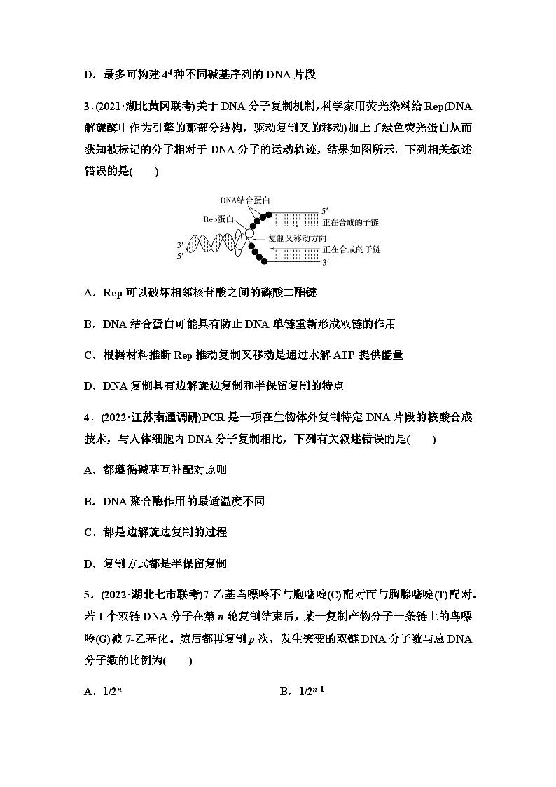 2024届人教版高考生物一轮复习DNA的结构、复制及基因通常是有遗传效应的DNA片段作业含答案02