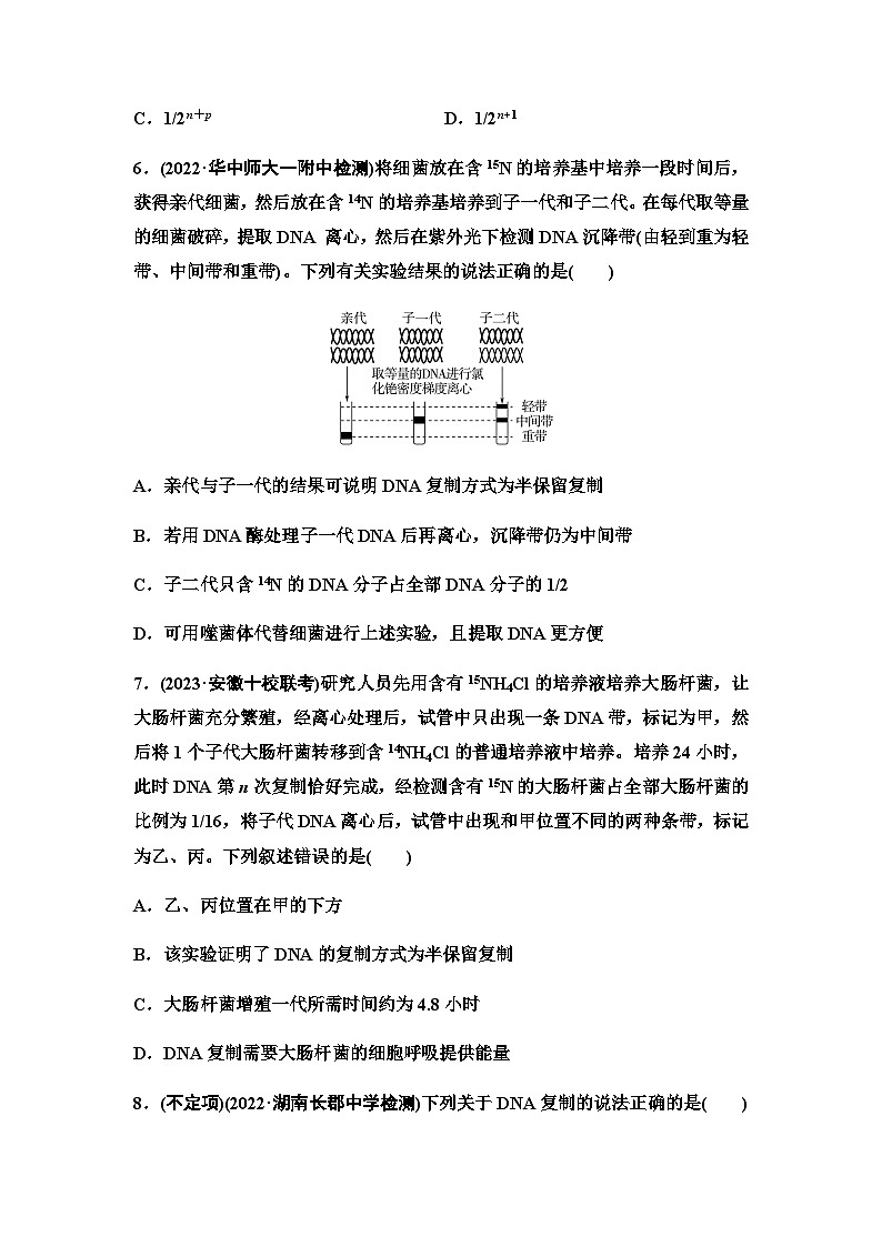 2024届人教版高考生物一轮复习DNA的结构、复制及基因通常是有遗传效应的DNA片段作业含答案03