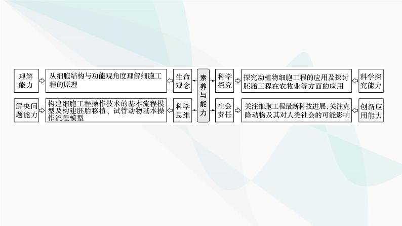 2024届苏教版高考生物一轮复习胚胎工程及其应用课件02