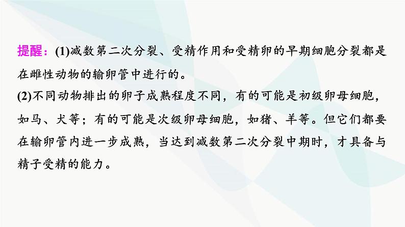 2024届苏教版高考生物一轮复习胚胎工程及其应用课件07