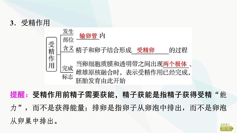2024届苏教版高考生物一轮复习胚胎工程及其应用课件08