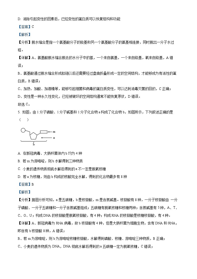 精品解析:四川省雅安市2022-2023学年高二下学期期末检测生物试题(解析版)第3页