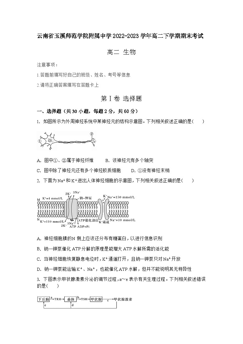云南省玉溪師范學院附屬中學2022-2023學年高二下學期期末考試生物試題第1頁