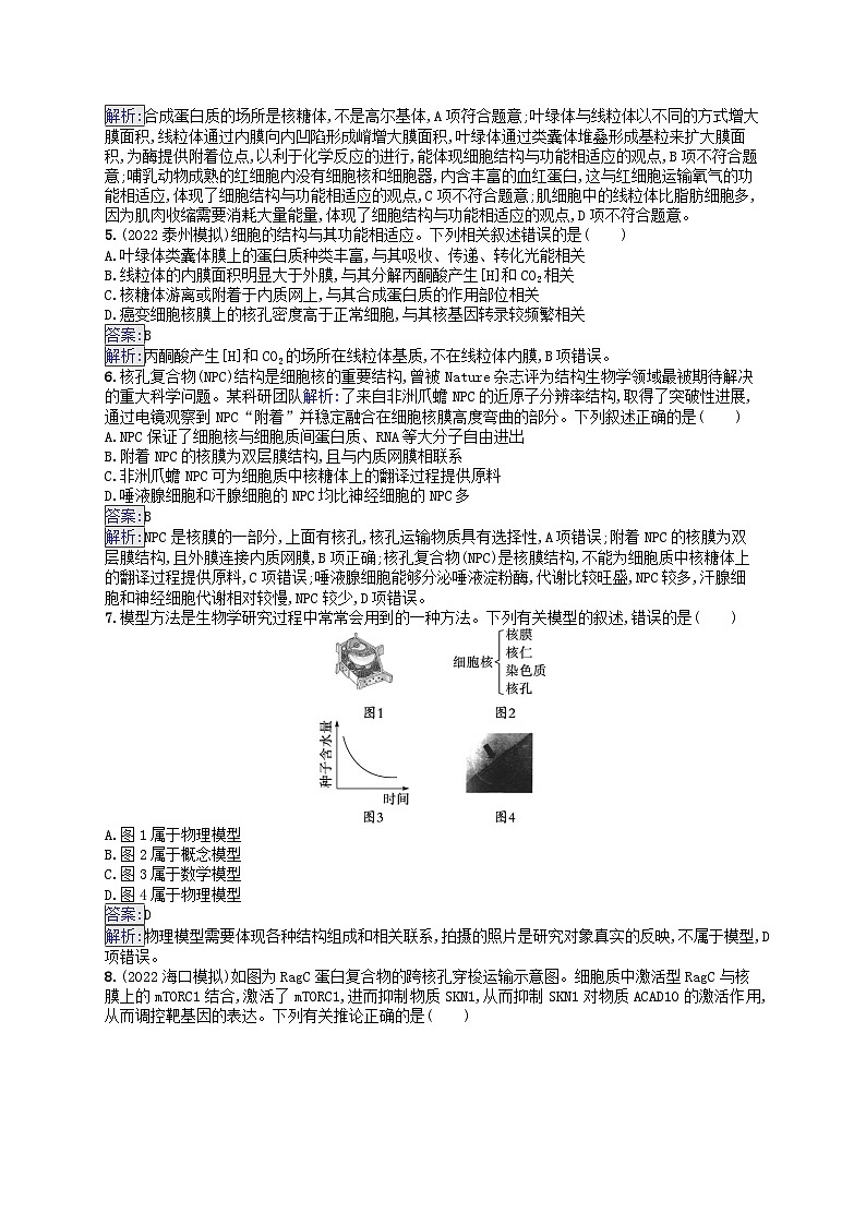 适用于新教材2024版高考生物一轮总复习课时规范练7细胞核与细胞结构的统一性新人教版第2页