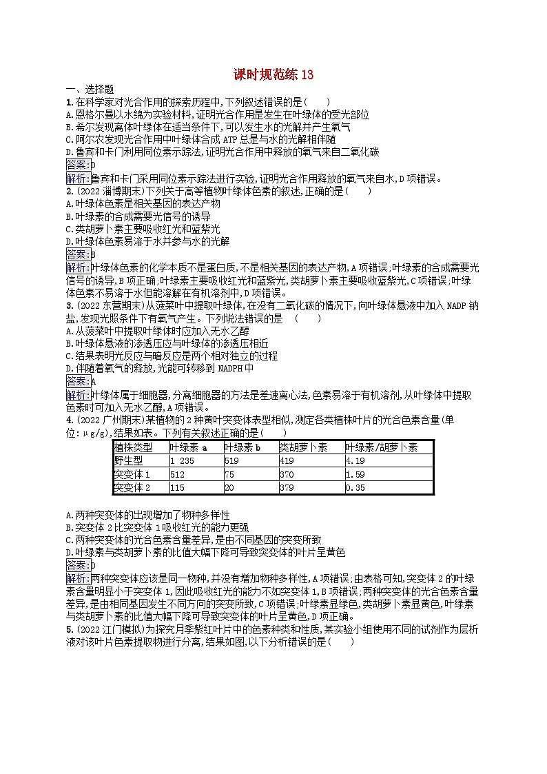 适用于新教材2024版高考生物一轮总复习课时规范练13光合作用的色素和原理新人教版第1页