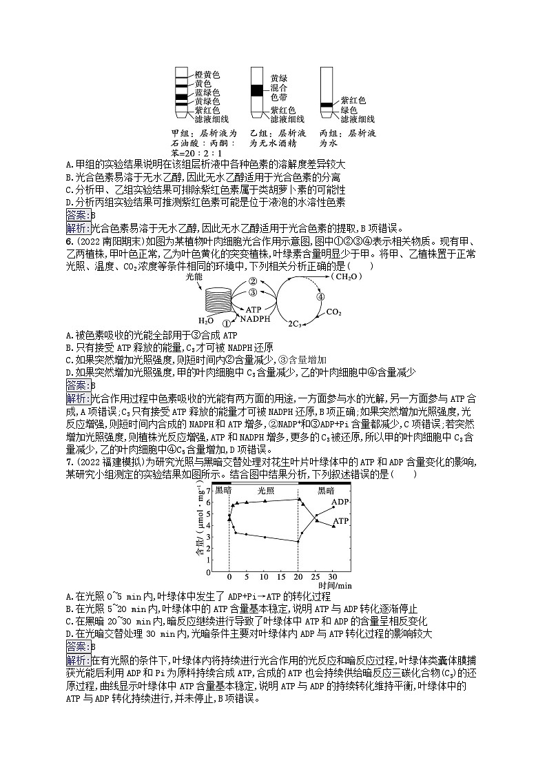 适用于新教材2024版高考生物一轮总复习课时规范练13光合作用的色素和原理新人教版第2页