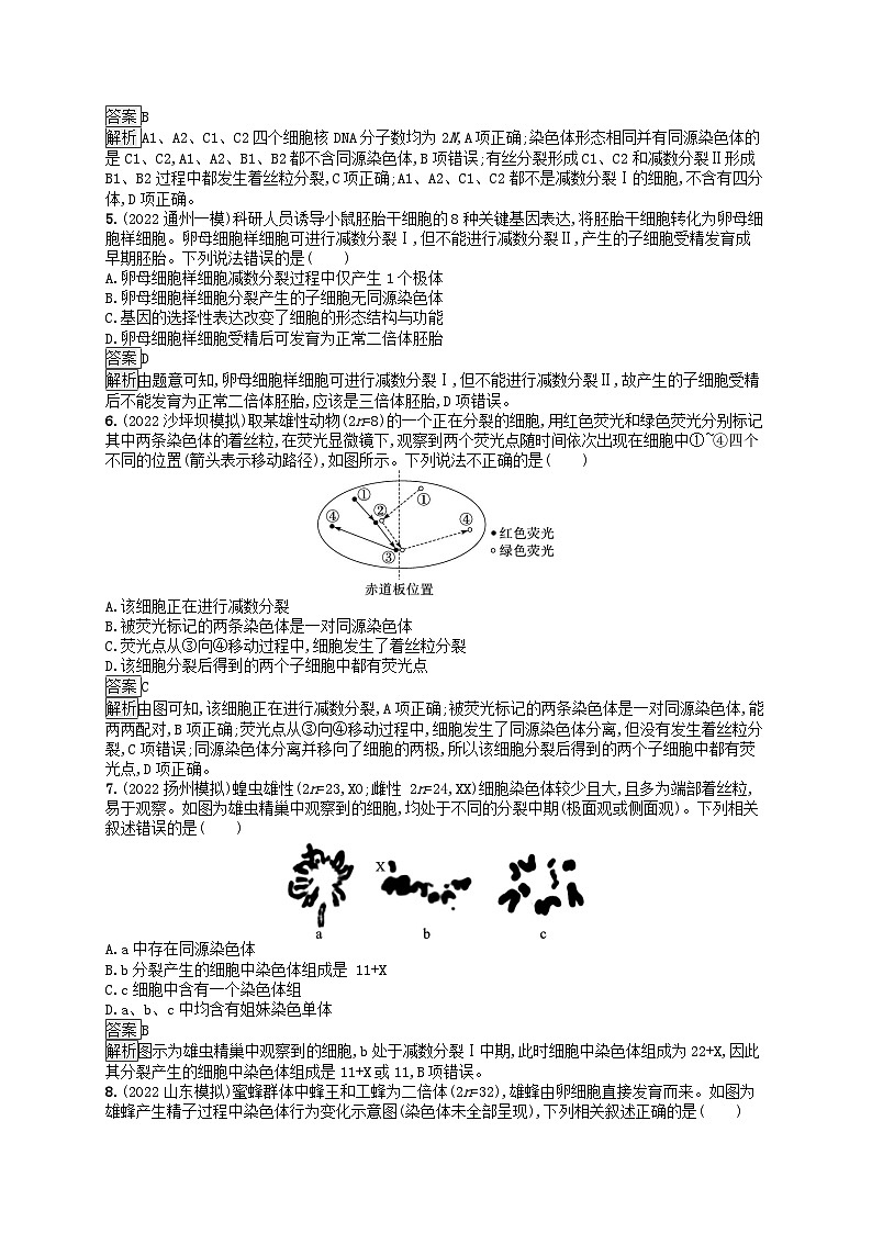 适用于新教材2024版高考生物一轮总复习课时规范练17减数分裂和受精作用新人教版02