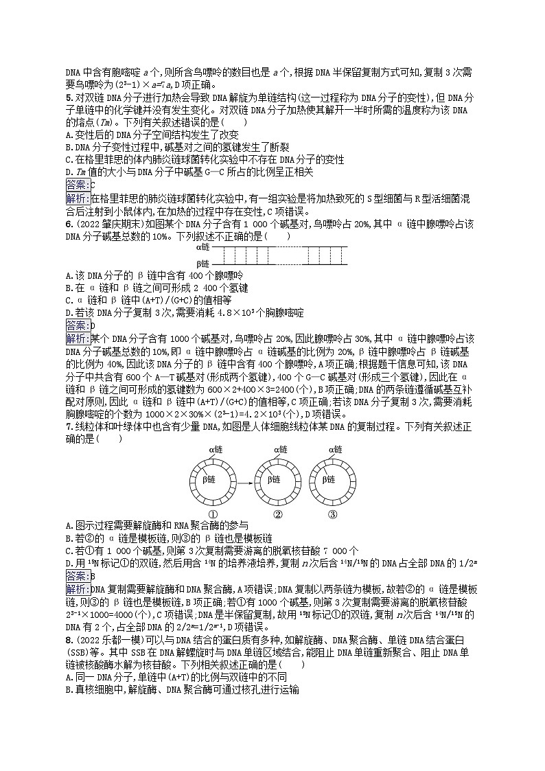 适用于新教材2024版高考生物一轮总复习课时规范练23DNA分子的结构和复制基因的本质新人教版02