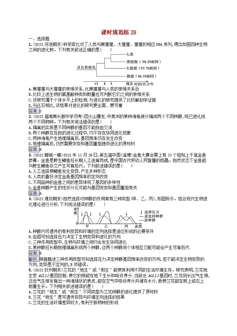 适用于新教材2024版高考生物一轮总复习课时规范练28生物的进化新人教版第1页