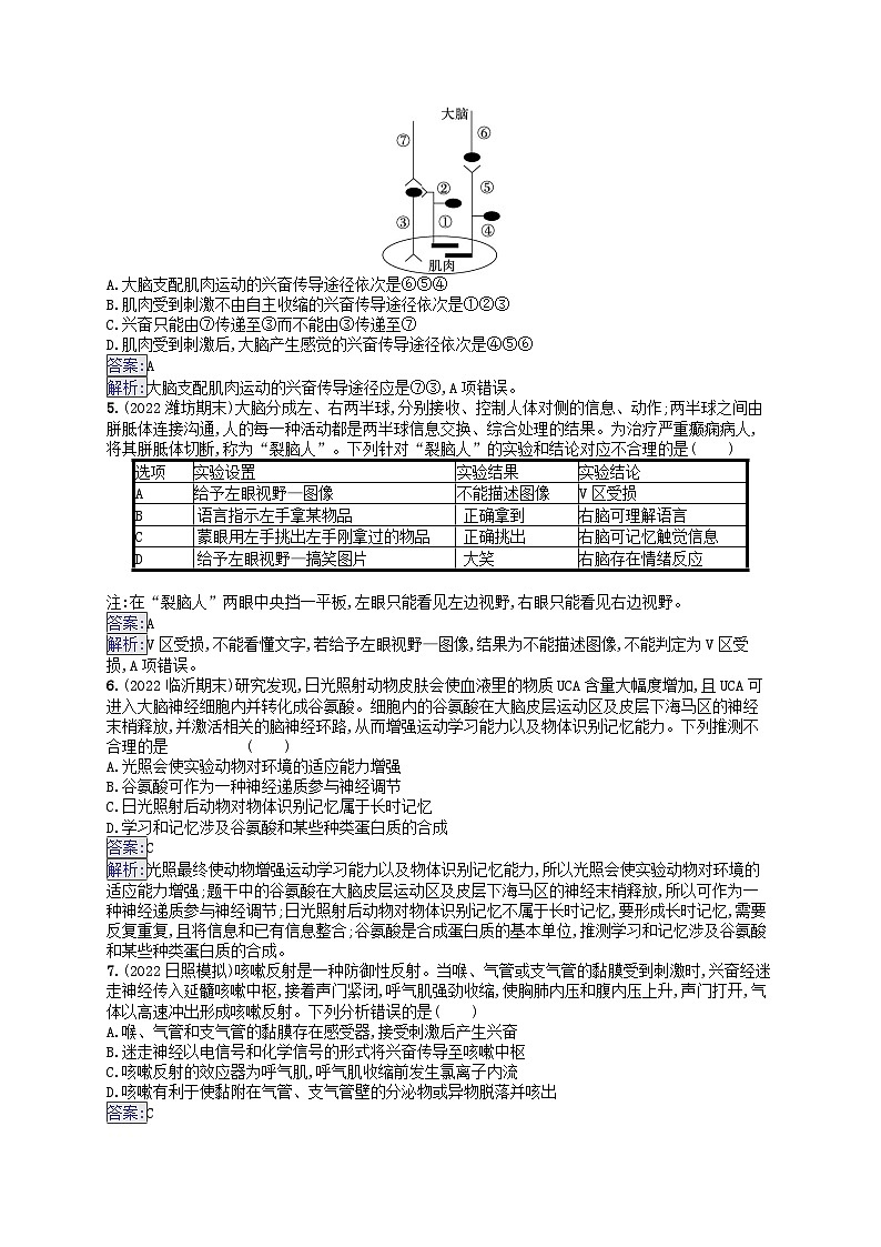适用于新教材2024版高考生物一轮总复习课时规范练30神经调节的结构基础及基本方式分级调节人脑的高级功能新人教版第2页
