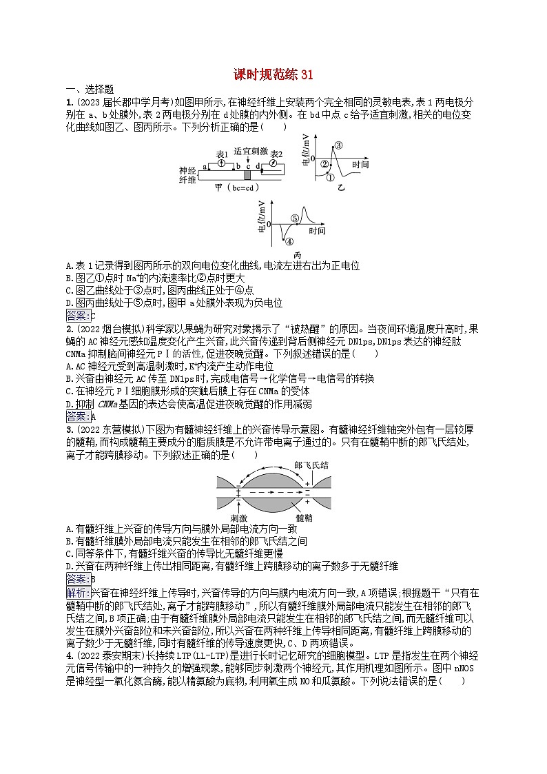适用于新教材2024版高考生物一轮总复习课时规范练31神经冲动的产生传导和传递新人教版第1页