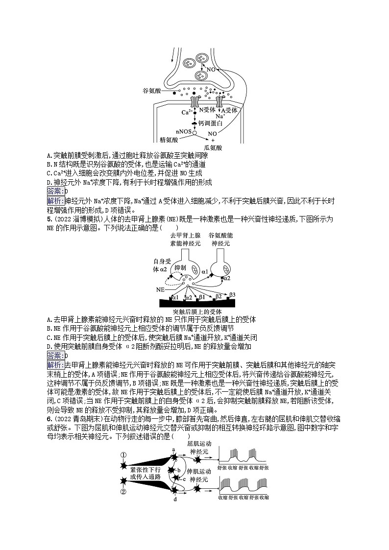 适用于新教材2024版高考生物一轮总复习课时规范练31神经冲动的产生传导和传递新人教版第2页