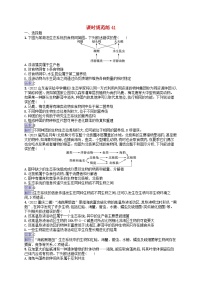 適用于新教材2024版高考生物一輪總復(fù)習(xí)課時規(guī)范練41生態(tài)系統(tǒng)的結(jié)構(gòu)新人教版