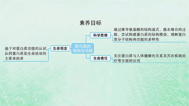 适用于新教材2024版高考生物一轮总复习第1单元细胞的概述细胞的分子组成第3讲蛋白质的结构与功能课件新人教版第2页