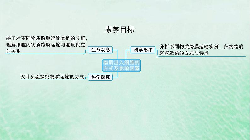 适用于新教材2024版高考生物一轮总复习第2单元细胞的基本结构及物质运输第9讲物质出入细胞的方式及影响因素课件新人教版第2页