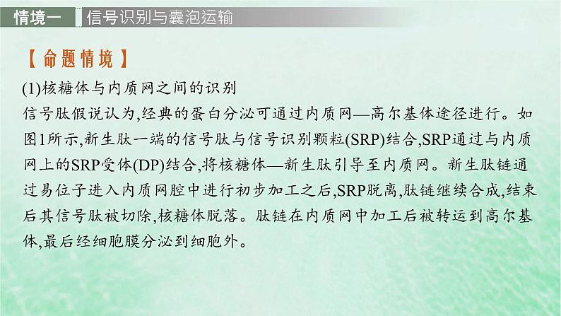 适用于新教材2024版高考生物一轮总复习第2单元细胞的基本结构及物质运输情境突破课1囊泡运输及细胞自噬课件新人教版第2页