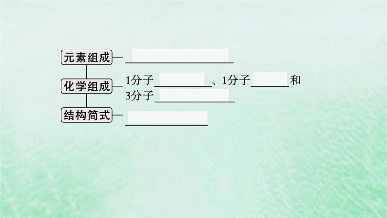 适用于新教材2024版高考生物一轮总复习第3单元细胞的代谢第11讲细胞的能量“货币”ATP课件新人教版第7页