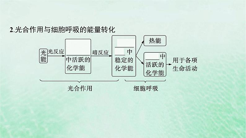 适用于新教材2024版高考生物一轮总复习第3单元细胞的代谢第15讲光合作用细胞呼吸的综合课件新人教版07