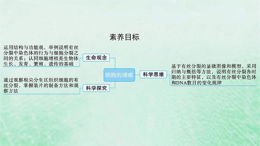 適用于新教材2024版高考生物一輪總復(fù)習(xí)第4單元細(xì)胞的生命歷程第16講細(xì)胞的增殖課件新人教版第2頁(yè)