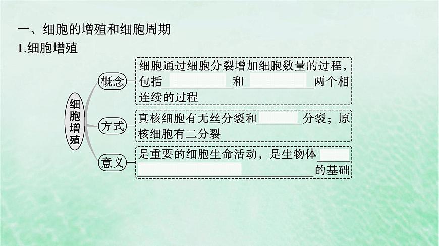 適用于新教材2024版高考生物一輪總復(fù)習(xí)第4單元細(xì)胞的生命歷程第16講細(xì)胞的增殖課件新人教版第5頁(yè)