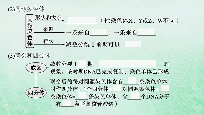 适用于新教材2024版高考生物一轮总复习第4单元细胞的生命历程第17讲减数分裂和受精作用课件新人教版第6页